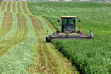 alfalfa farming quizlet.